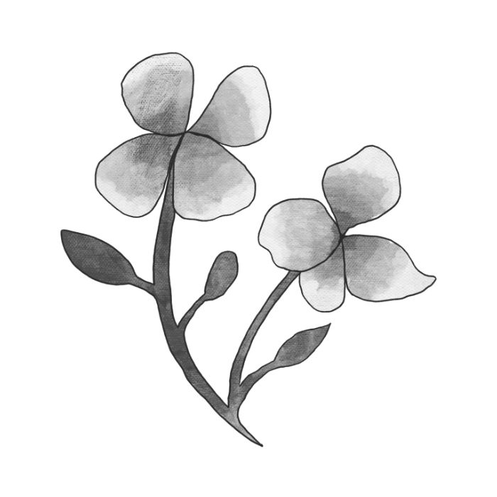 Avatar xám đẹp 